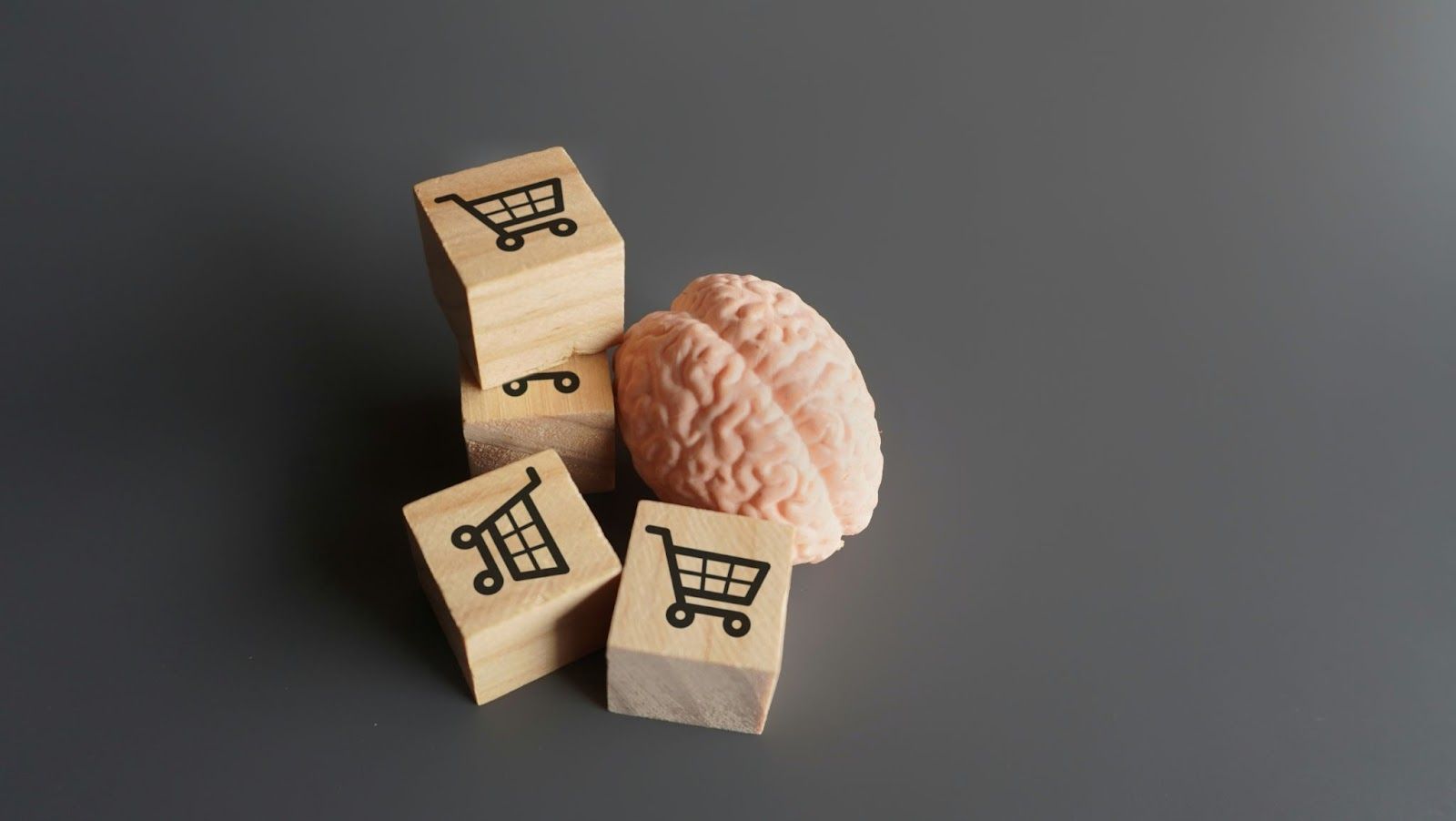 Wooden blocks stamped with shopping carts images, and a model human brain, against a gray background