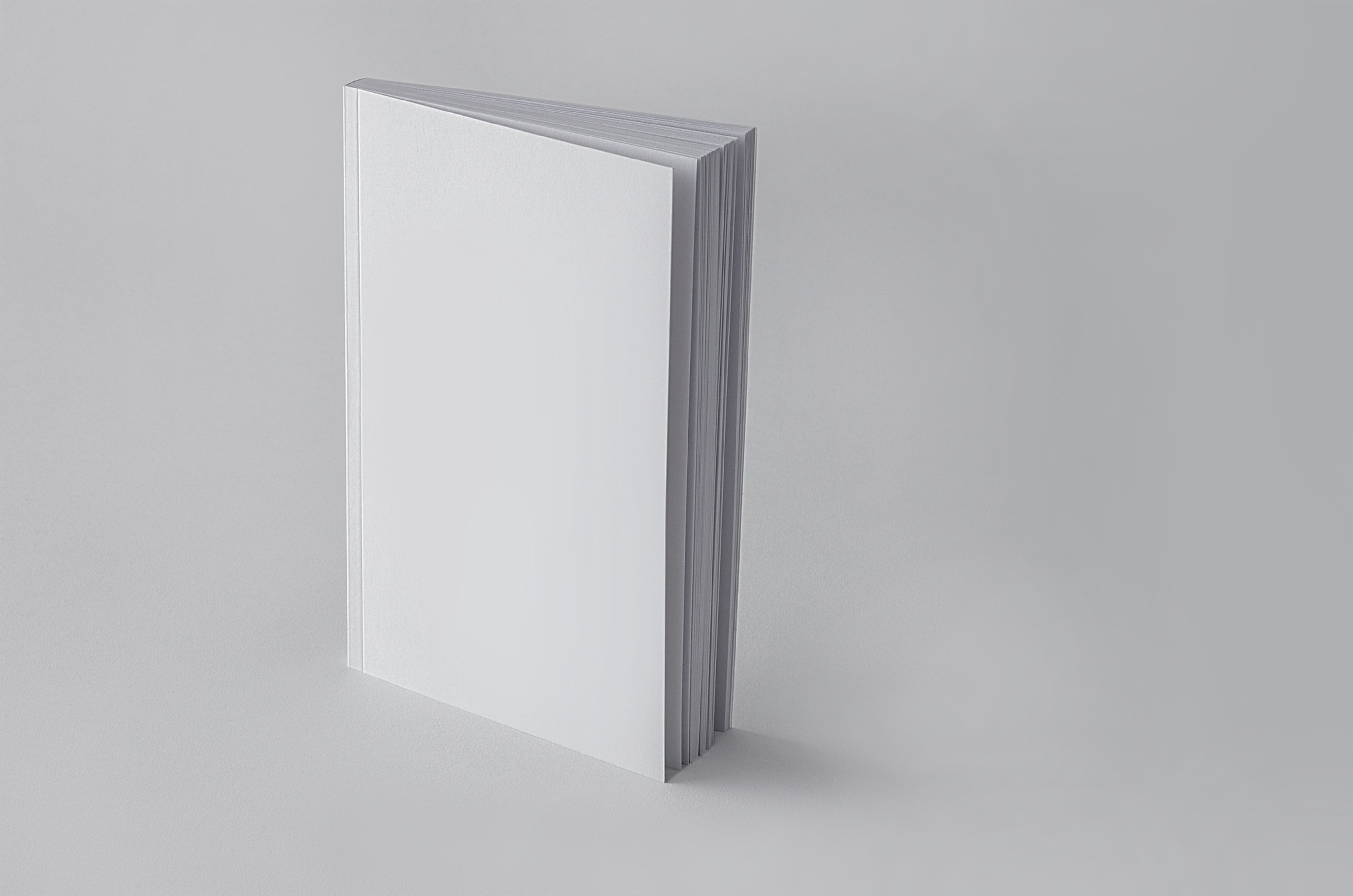 White book standing on a white surface