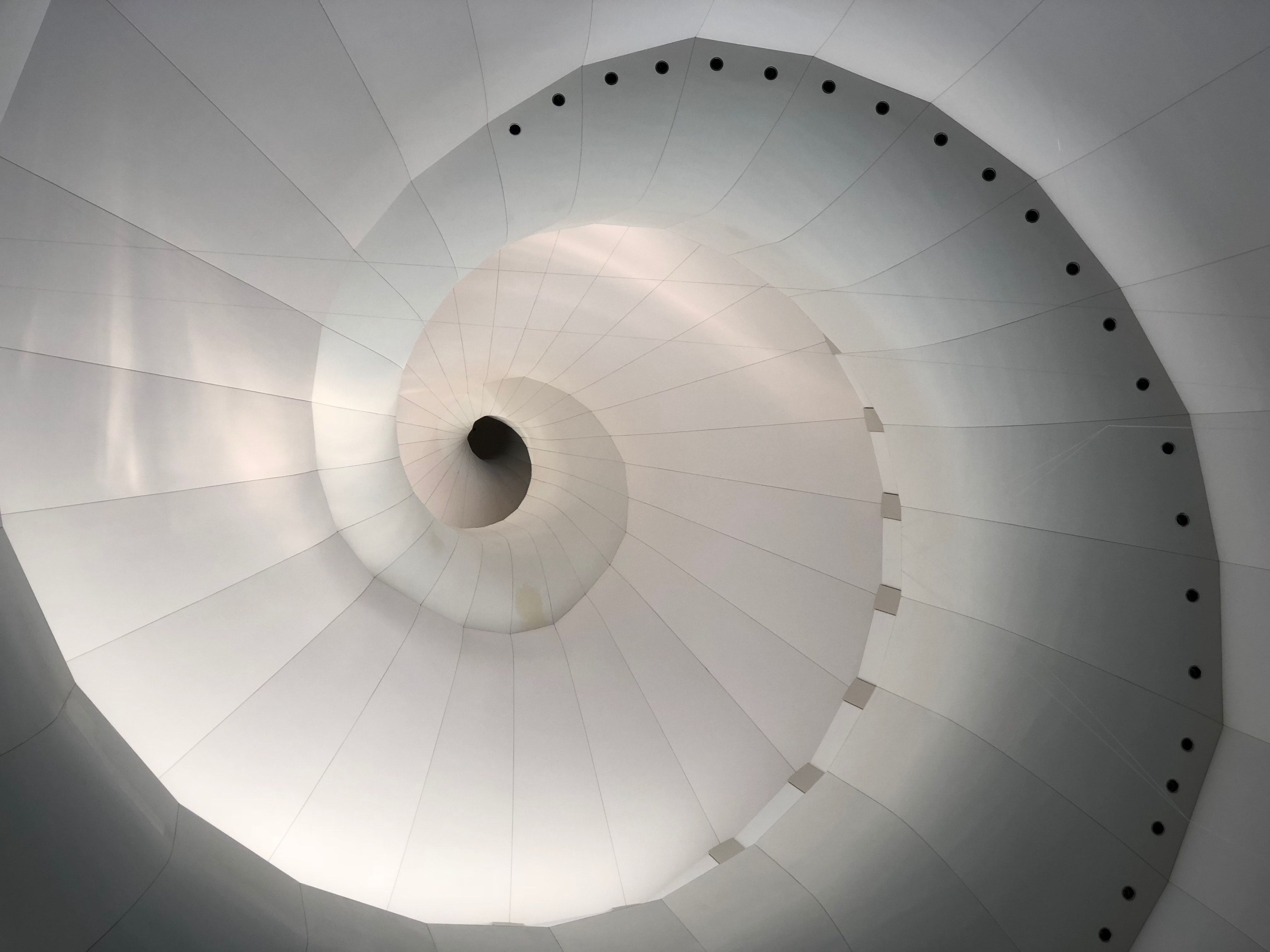 Photo looking up at white spiral staircase, so that it resembles a seashell